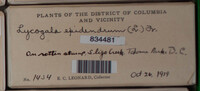Image Associated With the Occurence